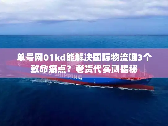 单号网01kd能解决国际物流哪3个致命痛点？老货代实测揭秘