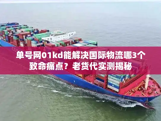 单号网01kd能解决国际物流哪3个致命痛点？老货代实测揭秘
