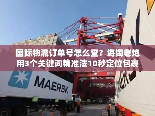 国际物流订单号怎么查？海淘老炮用3个关键词精准法10秒定位包裹
