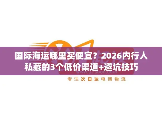 国际海运哪里买便宜？2026内行人私藏的3个低价渠道+避坑技巧
