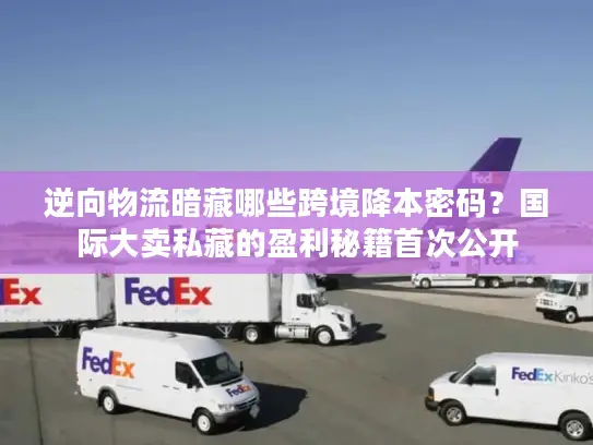 逆向物流暗藏哪些跨境降本密码？国际大卖私藏的盈利秘籍首次公开