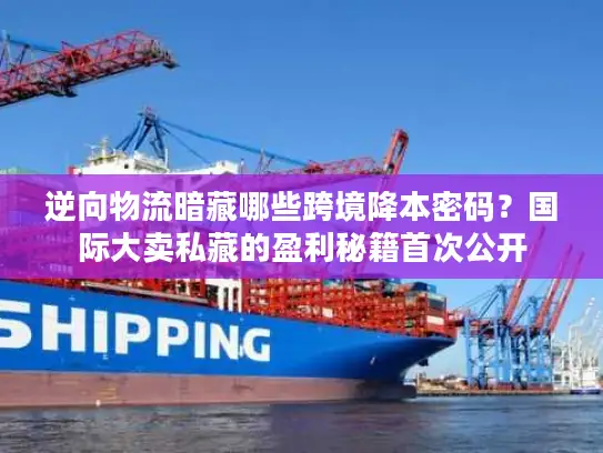 逆向物流暗藏哪些跨境降本密码？国际大卖私藏的盈利秘籍首次公开