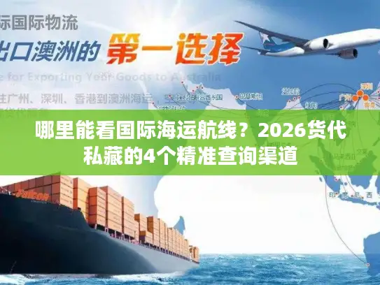 哪里能看国际海运航线？2026货代私藏的4个精准查询渠道