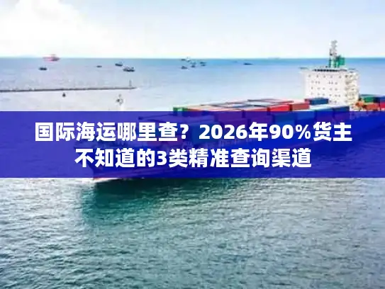 国际海运哪里查？2026年90%货主不知道的3类精准查询渠道