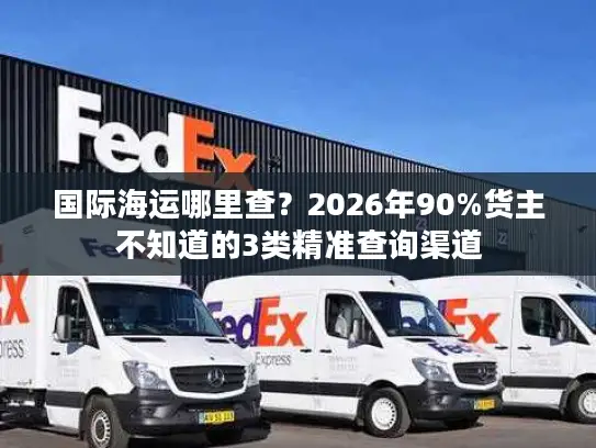 国际海运哪里查？2026年90%货主不知道的3类精准查询渠道