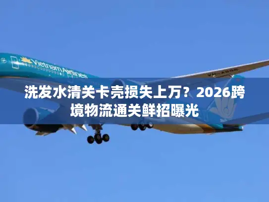 洗发水清关卡壳损失上万？2026跨境物流通关鲜招曝光