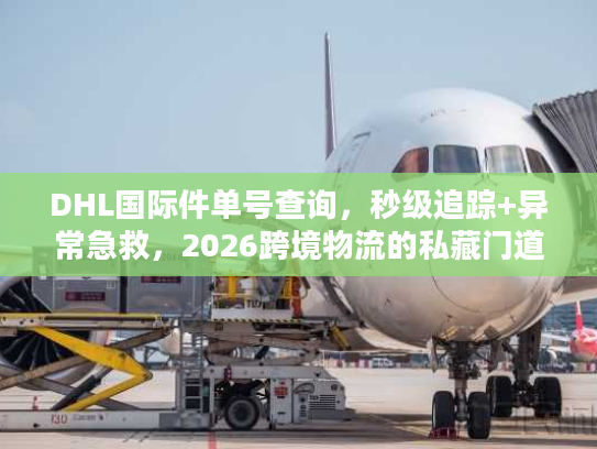 DHL国际件单号查询，秒级追踪+异常急救，2026跨境物流的私藏门道