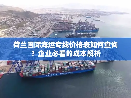 荷兰国际海运专线价格表如何查询？企业必看的成本解析