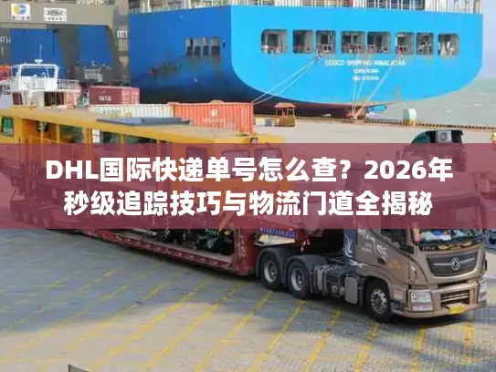 DHL国际快递单号怎么查？2026年秒级追踪技巧与物流门道全揭秘