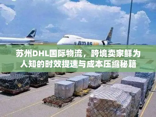 苏州DHL国际物流，跨境卖家鲜为人知的时效提速与成本压缩秘籍