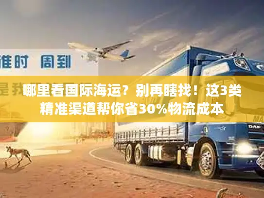 哪里看国际海运？别再瞎找！这3类精准渠道帮你省30%物流成本