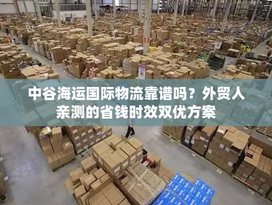 中谷海运国际物流靠谱吗？外贸人亲测的省钱时效双优方案