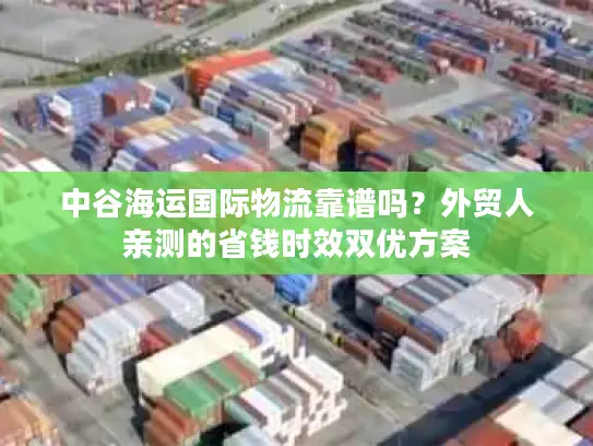 中谷海运国际物流靠谱吗？外贸人亲测的省钱时效双优方案