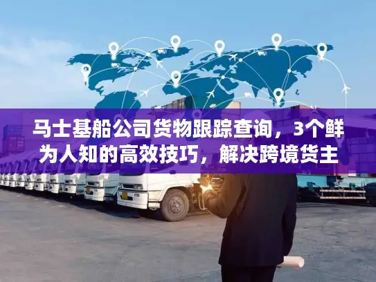 马士基船公司货物跟踪查询，3个鲜为人知的高效技巧，解决跨境货主90%的痛点