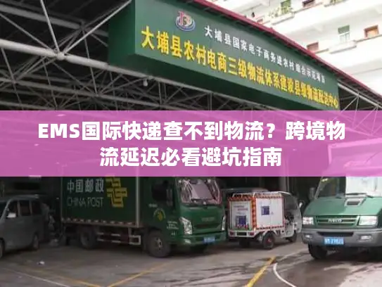 EMS国际快递查不到物流？跨境物流延迟必看避坑指南