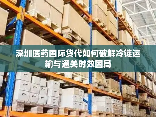 深圳医药国际货代如何破解冷链运输与通关时效困局