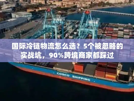 国际冷链物流怎么选？5个被忽略的实战坑，90%跨境商家都踩过