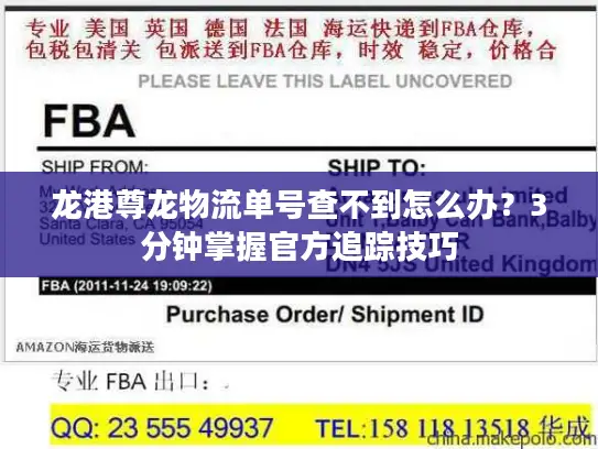 龙港尊龙物流单号查不到怎么办？3分钟掌握官方追踪技巧