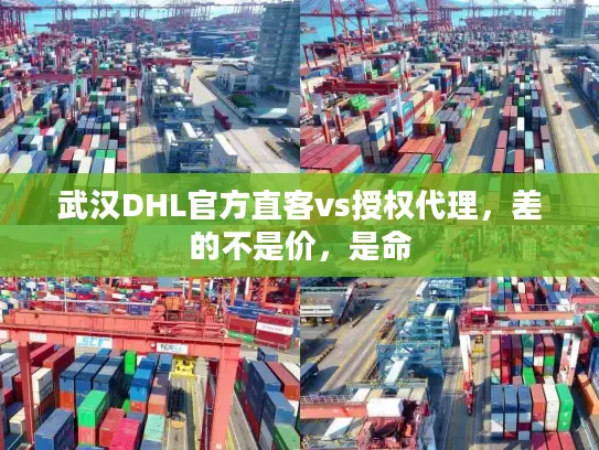 武汉DHL官方直客vs授权代理，差的不是价，是命