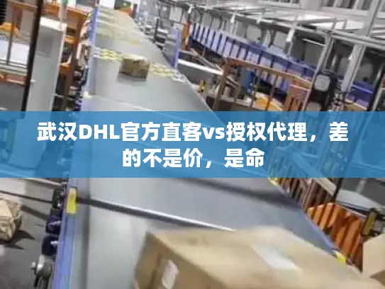 武汉DHL官方直客vs授权代理，差的不是价，是命
