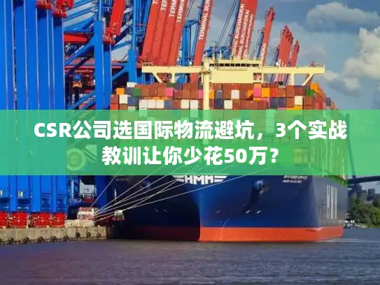 CSR公司选国际物流避坑，3个实战教训让你少花50万？