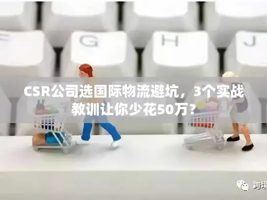 CSR公司选国际物流避坑，3个实战教训让你少花50万？