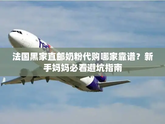 法国黑家直邮奶粉代购哪家靠谱？新手妈妈必看避坑指南