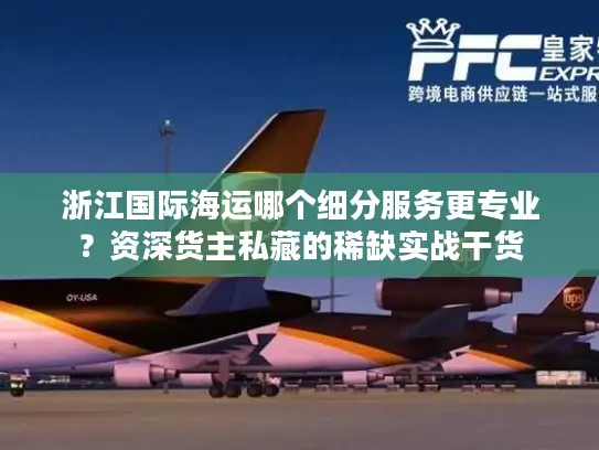浙江国际海运哪个细分服务更专业？资深货主私藏的稀缺实战干货