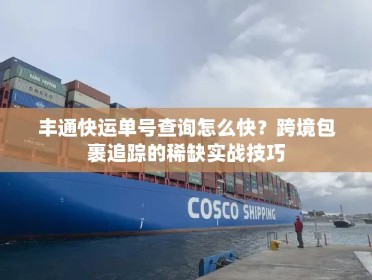 丰通快运单号查询怎么快？跨境包裹追踪的稀缺实战技巧