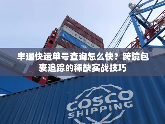 丰通快运单号查询怎么快？跨境包裹追踪的稀缺实战技巧