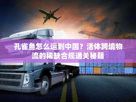 孔雀鱼怎么运到中国？活体跨境物流的稀缺合规通关秘籍