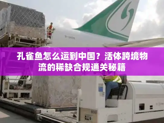 孔雀鱼怎么运到中国？活体跨境物流的稀缺合规通关秘籍