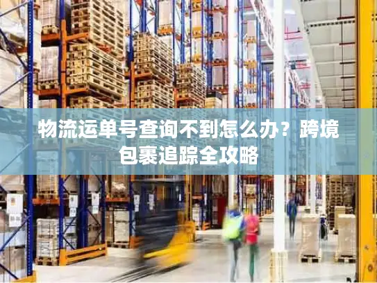 物流运单号查询不到怎么办？跨境包裹追踪全攻略