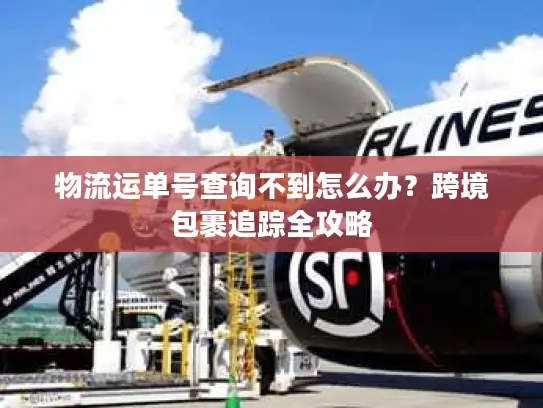 物流运单号查询不到怎么办？跨境包裹追踪全攻略