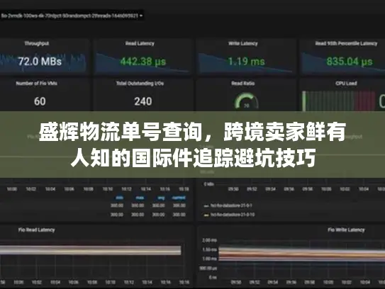 盛辉物流单号查询，跨境卖家鲜有人知的国际件追踪避坑技巧