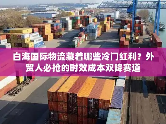 白海国际物流藏着哪些冷门红利？外贸人必抢的时效成本双降赛道