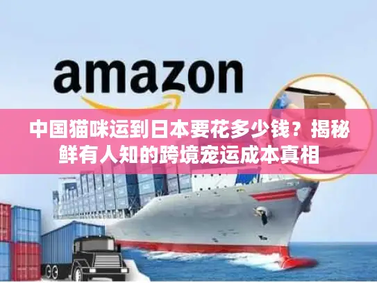 中国猫咪运到日本要花多少钱？揭秘鲜有人知的跨境宠运成本真相
