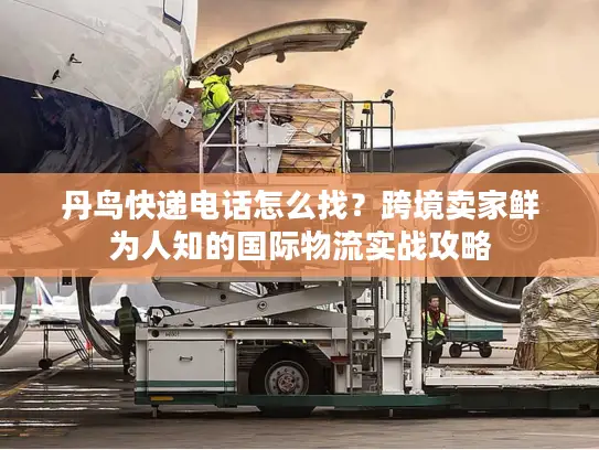 丹鸟快递电话怎么找？跨境卖家鲜为人知的国际物流实战攻略