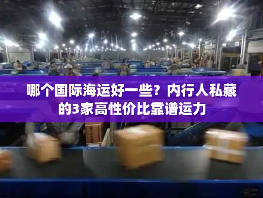 哪个国际海运好一些？内行人私藏的3家高性价比靠谱运力