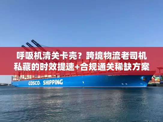 呼吸机清关卡壳？跨境物流老司机私藏的时效提速+合规通关稀缺方案