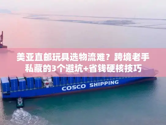 美亚直邮玩具选物流难？跨境老手私藏的3个避坑+省钱硬核技巧