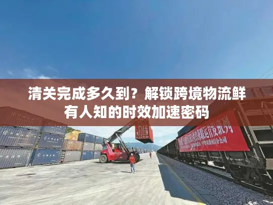 清关完成多久到？解锁跨境物流鲜有人知的时效加速密码