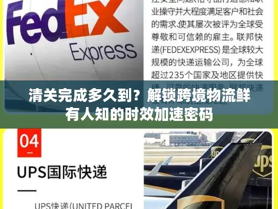 清关完成多久到？解锁跨境物流鲜有人知的时效加速密码