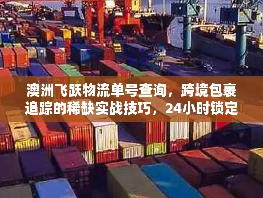 澳洲飞跃物流单号查询，跨境包裹追踪的稀缺实战技巧，24小时锁定包裹动态