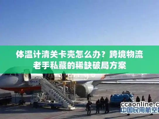 体温计清关卡壳怎么办？跨境物流老手私藏的稀缺破局方案