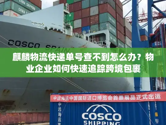 麒麟物流快递单号查不到怎么办？物业企业如何快速追踪跨境包裹