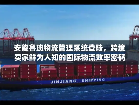 安能鲁班物流管理系统登陆，跨境卖家鲜为人知的国际物流效率密码？