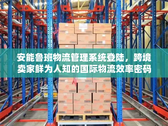 安能鲁班物流管理系统登陆，跨境卖家鲜为人知的国际物流效率密码？