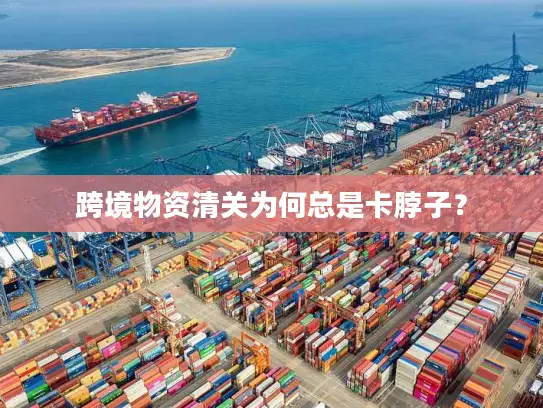 跨境物资清关为何总是卡脖子？