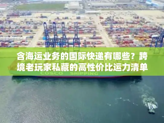 含海运业务的国际快递有哪些？跨境老玩家私藏的高性价比运力清单